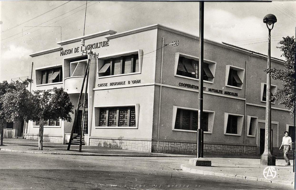 Hammam bou hadjar 521- Maison agriculture COLLECTION DES AMIS DE ND DE SANTA CRUZ.jpg